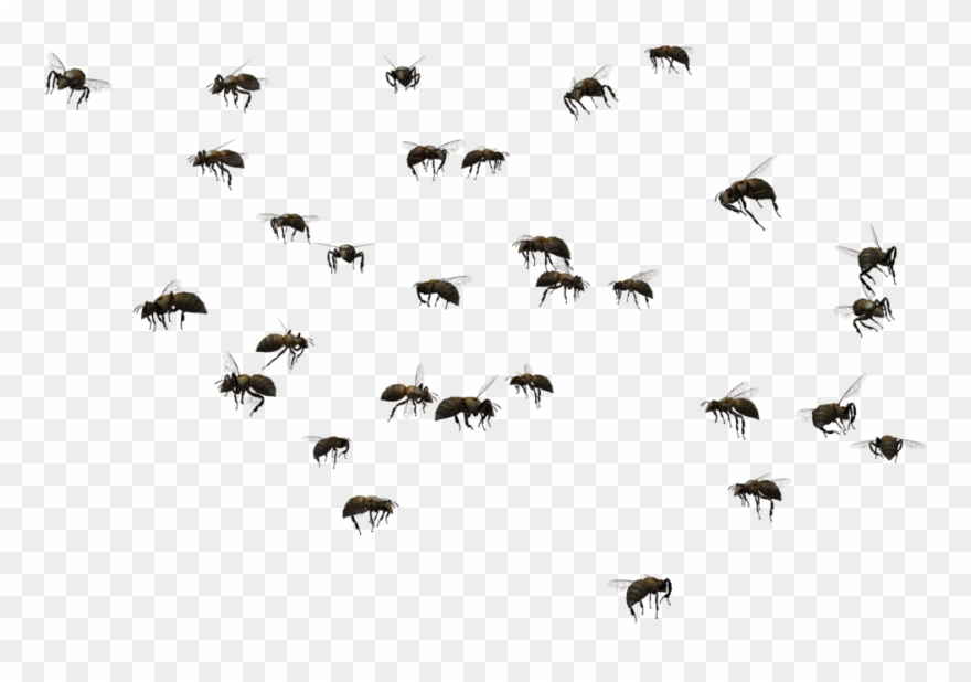 Image Black And White Download Beehive Swarming Clip - Honey Bee - Png Download