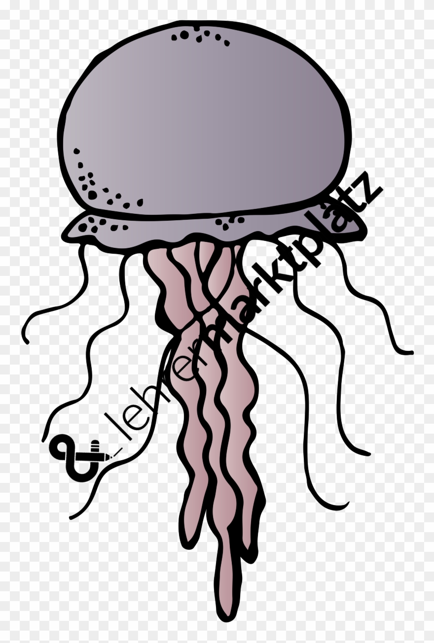 Jellyfish Clipart Melonheadz - Clip Art - Png Download