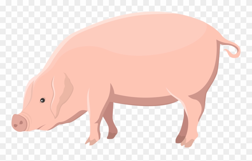 Transparent Clip Art Image - Clip Art - Png Download