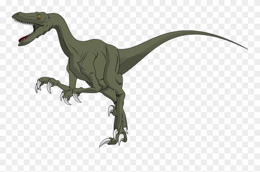 Dinosaur Clipart Velociraptor - Velociraptor - Png Download