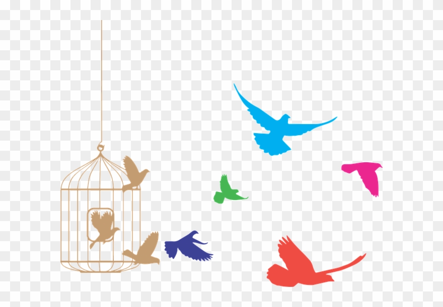 Enter Title - Birds Out Of A Cage Clipart