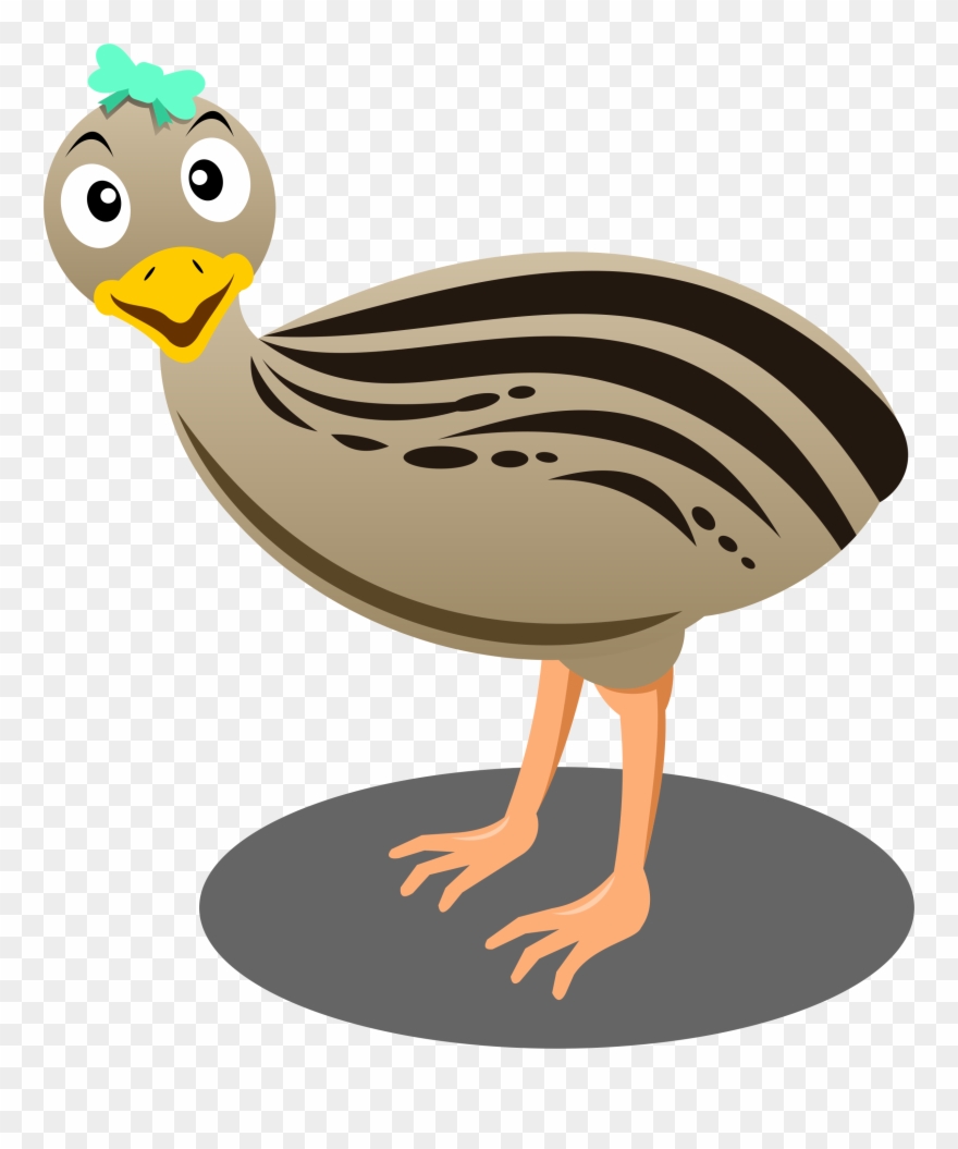 Goetia ©norah Colvin - Emu Cartoon Transparent Background Clipart