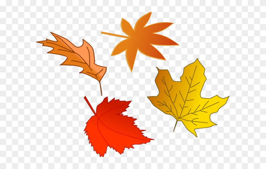 Maple Leaf Clipart November Leaves - Fall Leaves Clip Art - Png Download