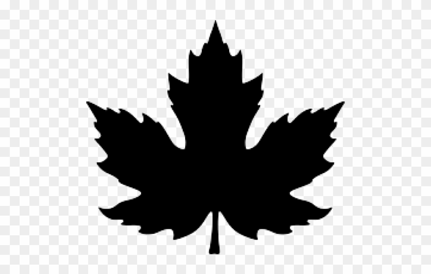 Maple Leaf Clipart November Leaves - Red Maple Leaf Drawing - Png Download
