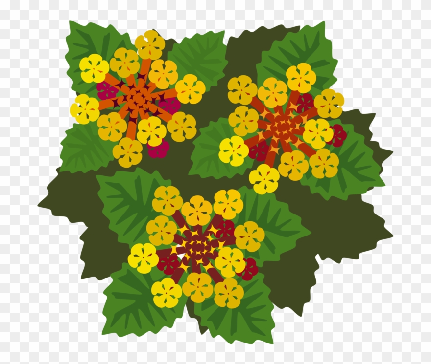 All Photo Png Clipart - Flora Clipart Transparent Png