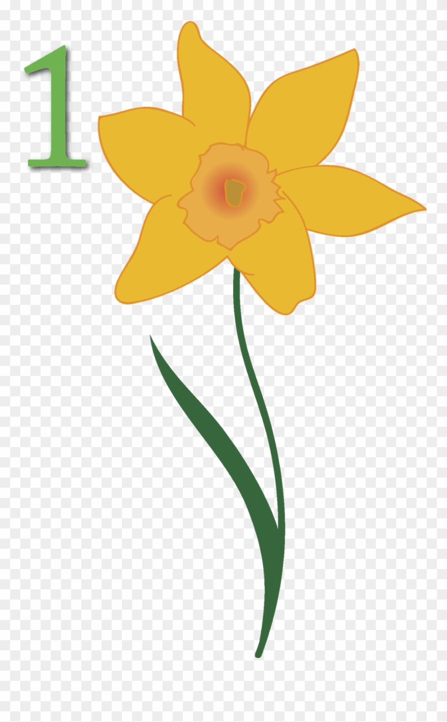 Daffodil Clipart April - Narcissus - Png Download