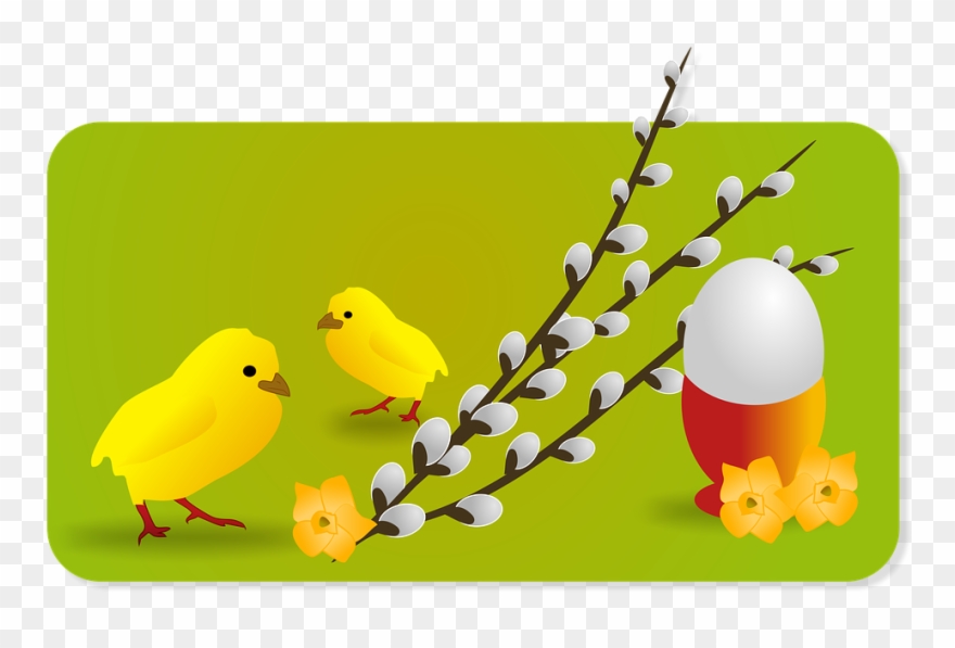 Canary Clipart Spring - Easter - Png Download