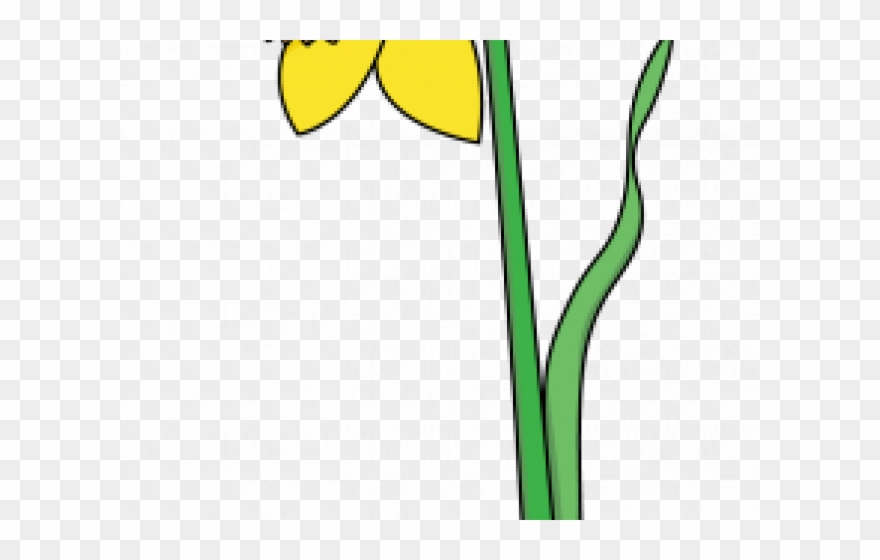 Daffodils Clipart Yellow Daffodil - Png Download