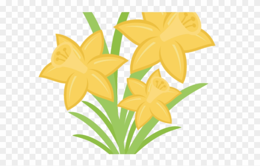 Daffodils Clipart Svg - Scalable Vector Graphics - Png Download