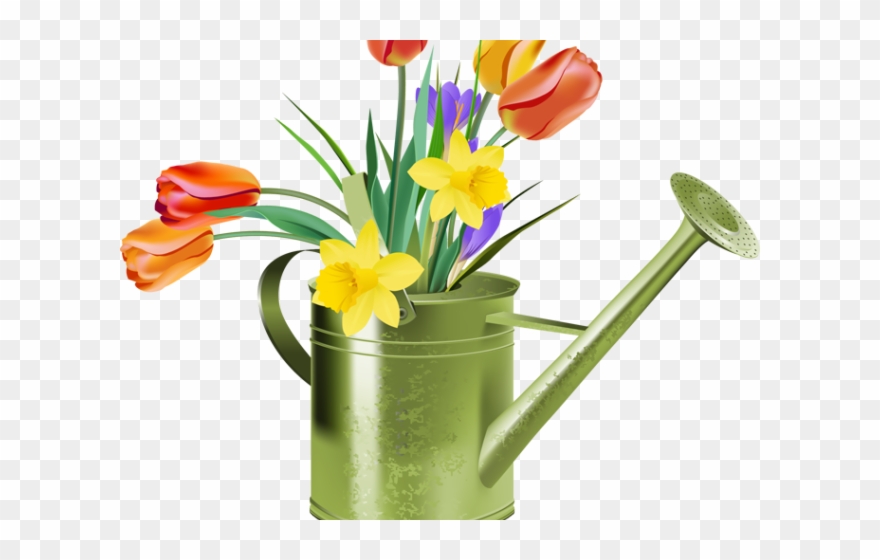 Daffodils Clipart Different Flower - Tulip - Png Download