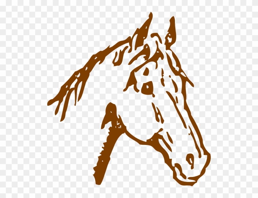 Brown Horse Head Clip Art At Clker - Perfil Del Caballo Dibujado - Png Download