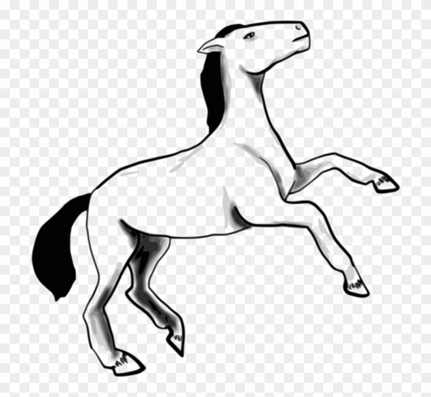 Horse Sketch Shower Curtain Clipart