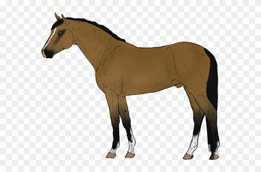 More Like 5 Point Horse Adopt - Animated Horse Transparent Clipart