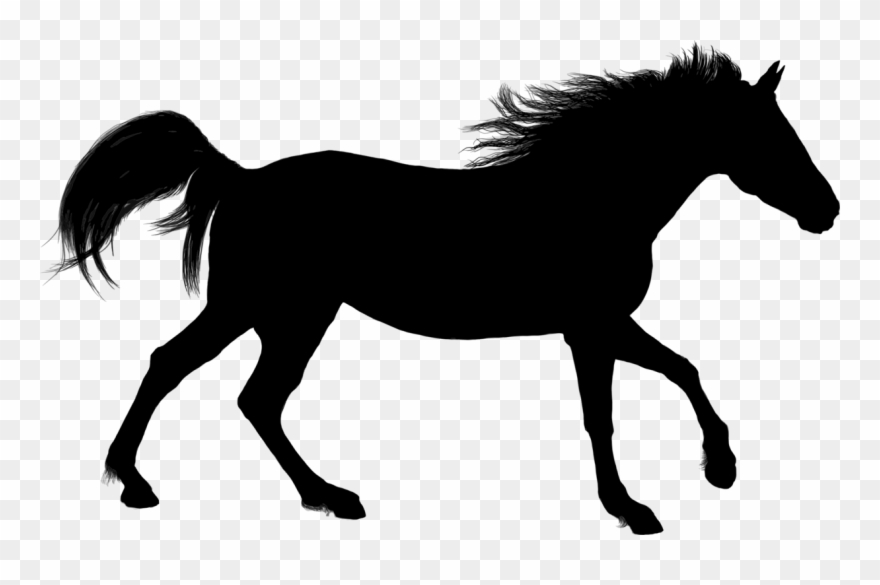 All Photo Png Clipart - Horse Silhouette Jpg Transparent Png