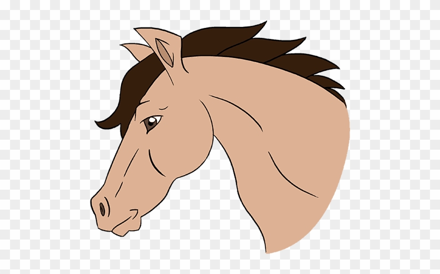 Horse Head Cartoon - Cartoon Horse Head Drawing Clipart