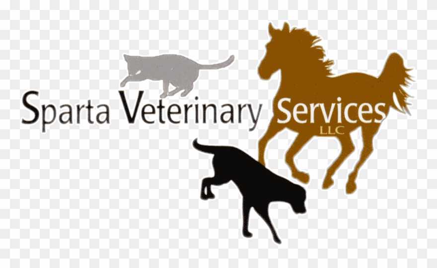Sparta Veterinary Services Logo - Sparta Veterinary Services Llc Clipart