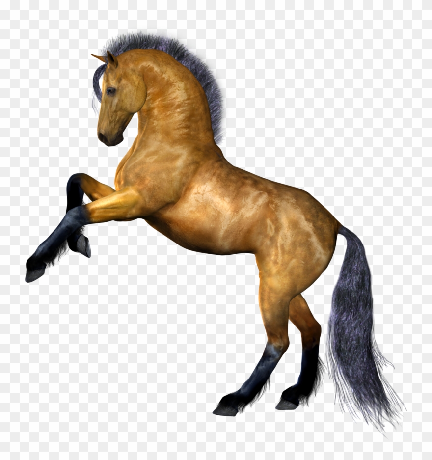 Horse Png Image, Free Download Picture - Horse Png Clipart