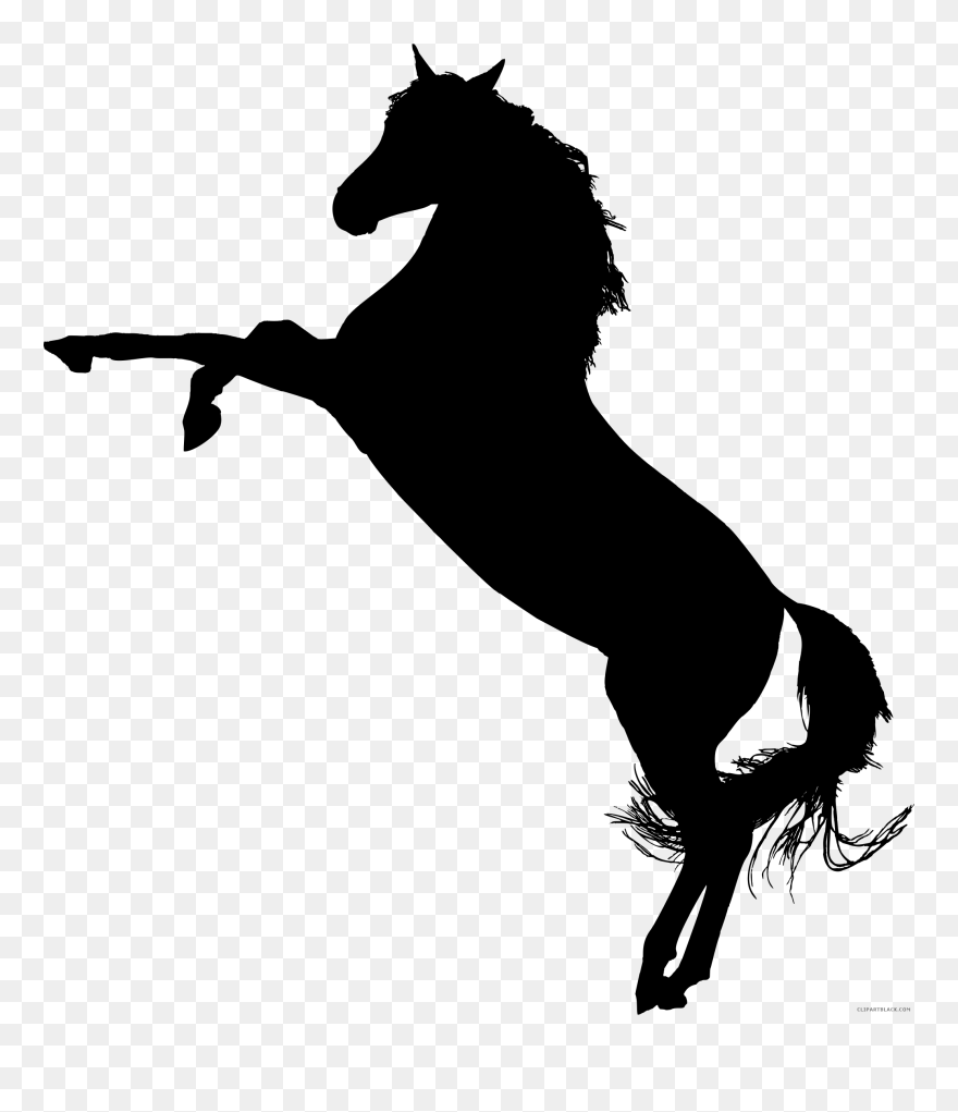 American Quarter Horse Mustang Arabian Horse Stallion - Horse On Hind Legs Silhouette Clipart