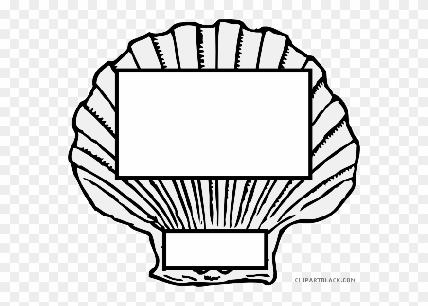 Shell Clipart Horse Conch - Seashell Clip Art - Png Download