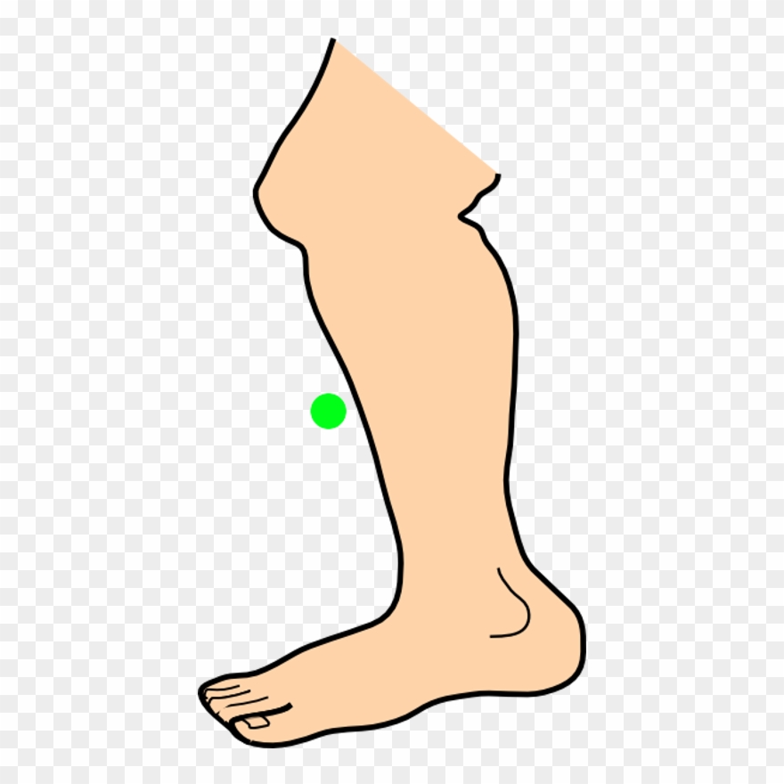 Shin Clipart - - Feet Clipart Png Transparent Png