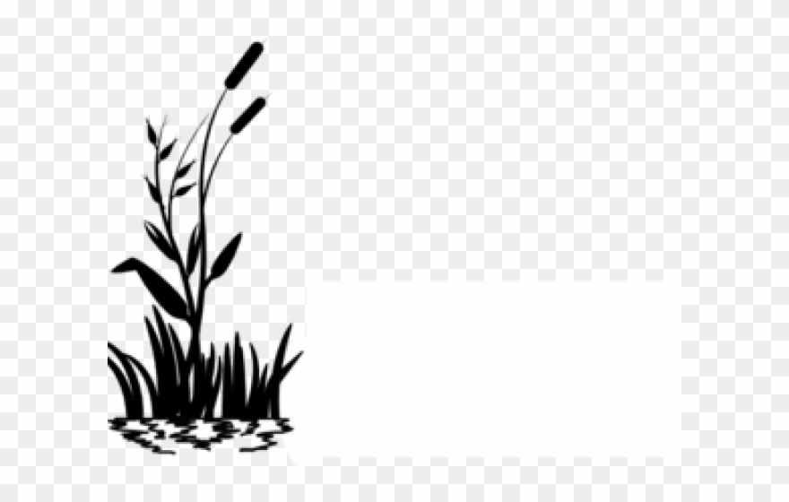 Swamp Clipart Dark - Grass Black And White Clipart - Png Download
