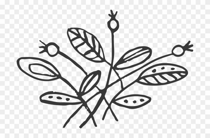 Straddling The Line Between An Indulgent Muffin And - Line Art Clipart