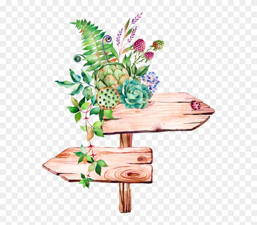 Textura - Transparent Watercolor Succulent Png Clipart