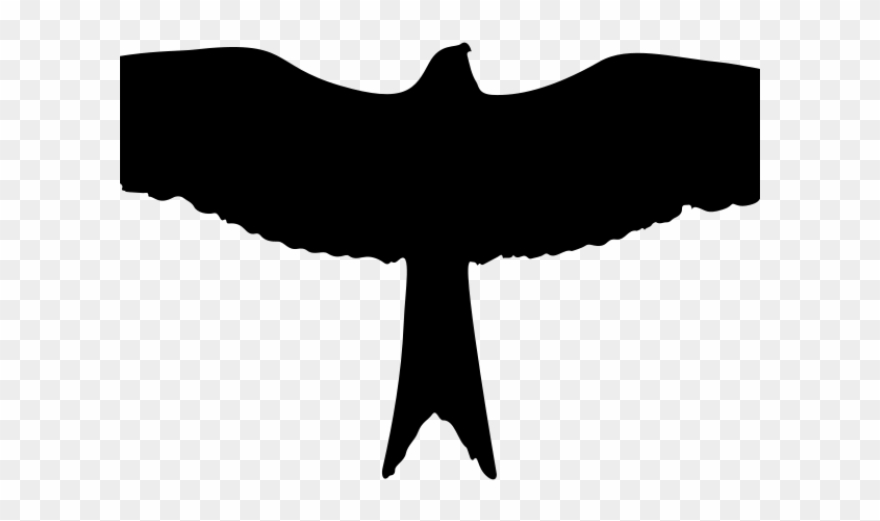 Silhouette Clipart Eagle - Illustration - Png Download