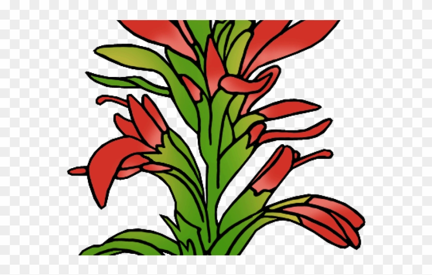 Disney World Characters Clipart - Drawing Wyoming State Flower - Png Download