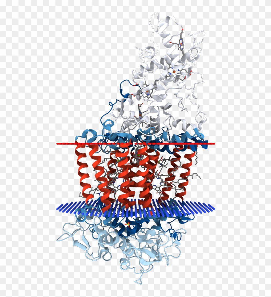 1r2c - Illustration Clipart