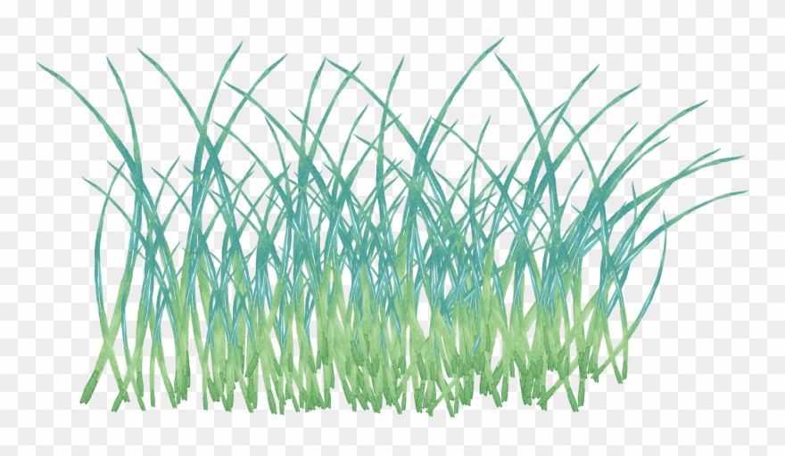 Simplicity Fashion Creativity Watercolor Png And Psd - Sweet Grass Clipart