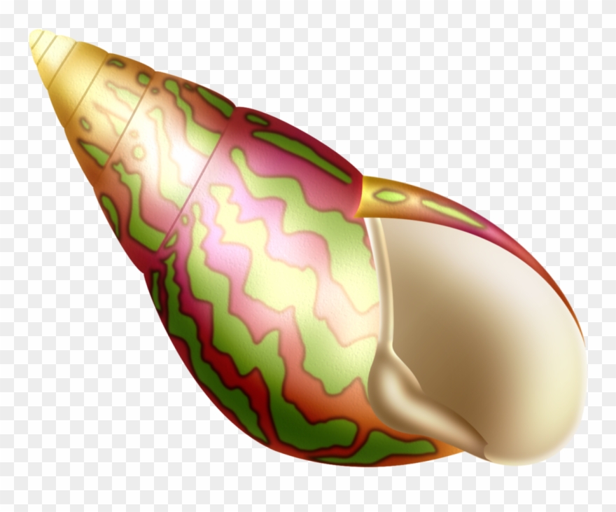 Album - Oyster Clipart