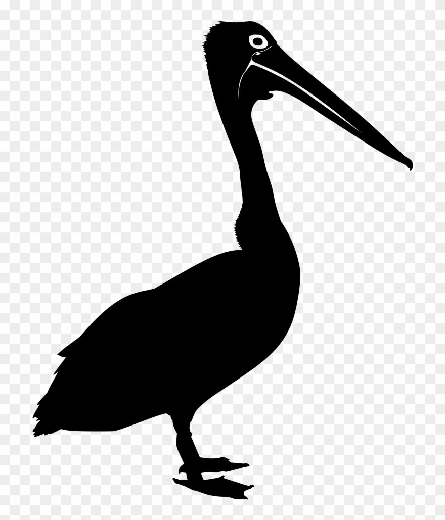 Pelican Clipart Christmas - Pelican - Png Download