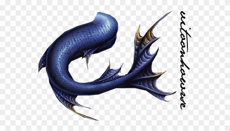 Mermaid Tail Clipart Cgi - You've Gotta Be Kitten Me Right Meow Journal - Png Download