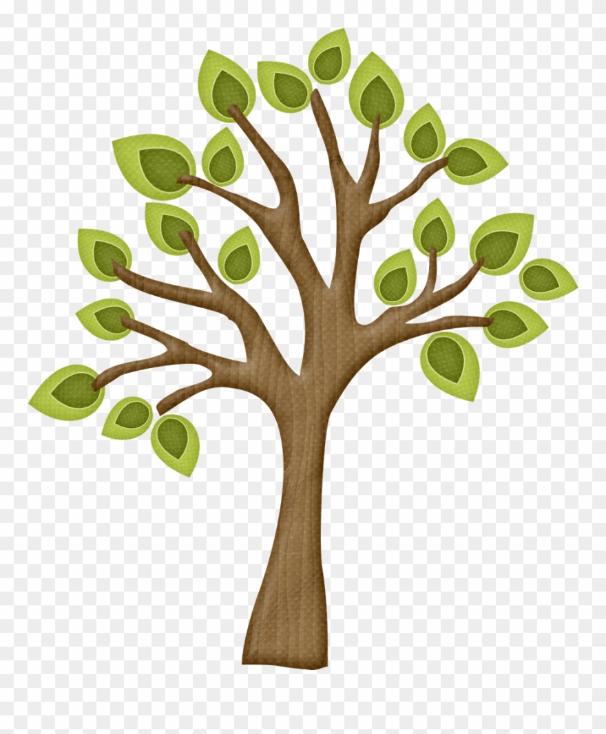 María José Argüeso - Tree Clipart Leaves - Png Download