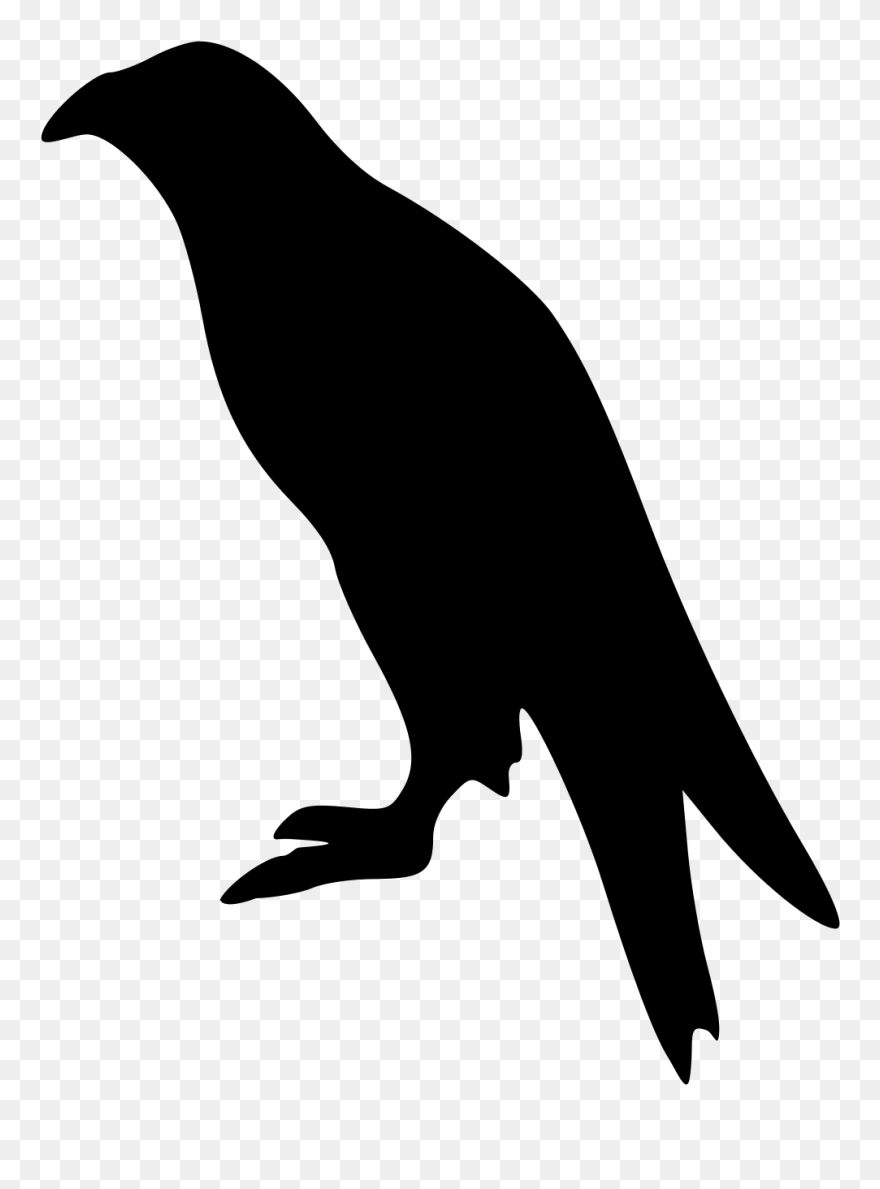 Eagle Silhouette - Raven Bird Silhouette Png Clipart