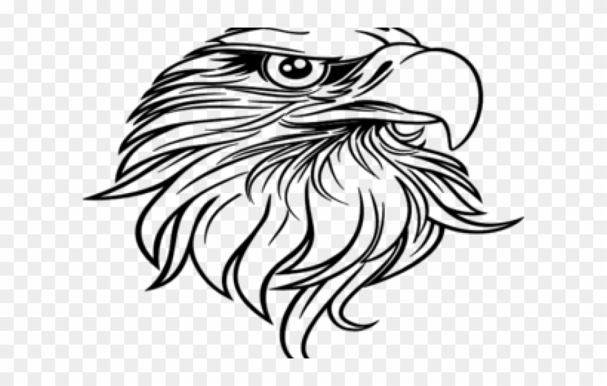 Black Eagle Clipart Vector - Eagle Head Clipart Black And White - Png Download