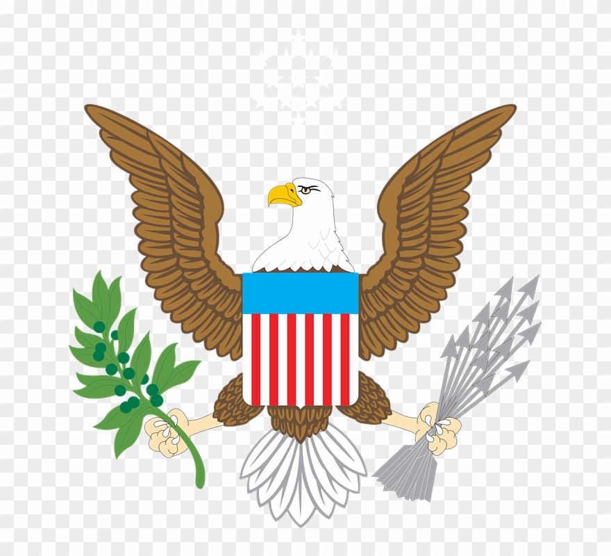 Bald Eagle Clipart Us Eagle - American Bald Eagle Clip Art - Png Download