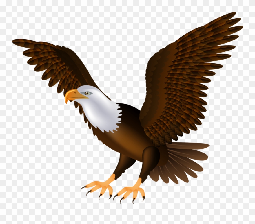 Eagle Png Clip Art 1454 Clipart Of - Transparent Background Eagle Clipart