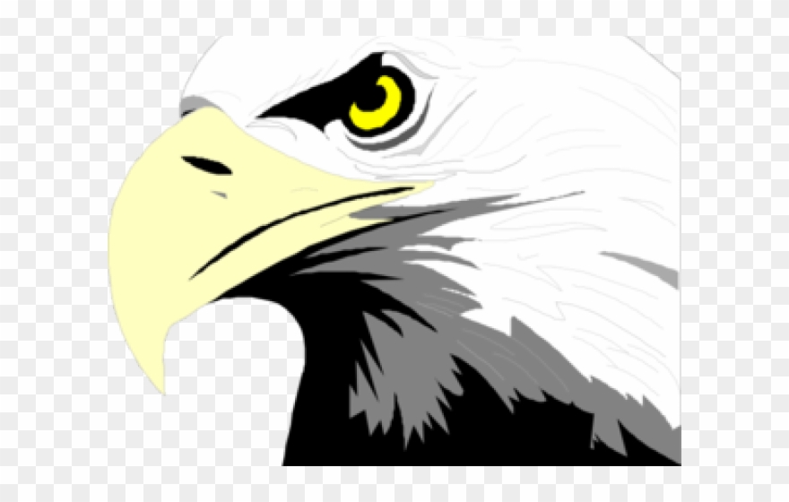 ! Postcards (package Of 8) Clipart