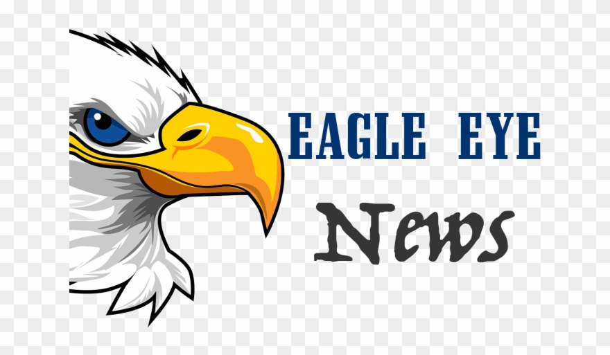 Bald Eagle Clipart Eagle Eye - Bald Eagle Head Cartoon - Png Download