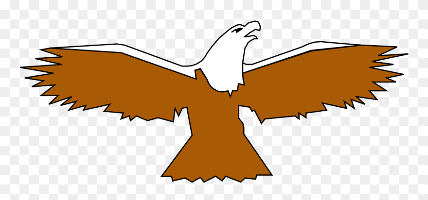 Bald Eagle Clipart Spread Wing - Bird - Png Download