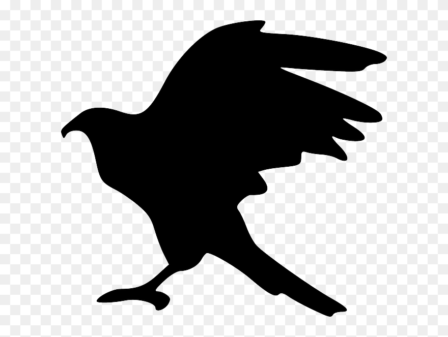 Hawk Silhouette Png Clipart