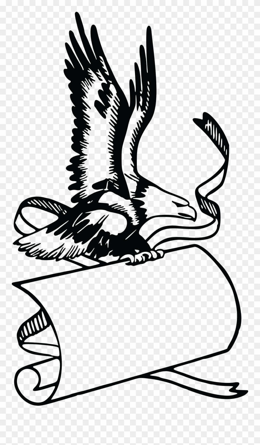Free Clipart Of A Banner And Bald Eagle - Eagle Banner - Png Download