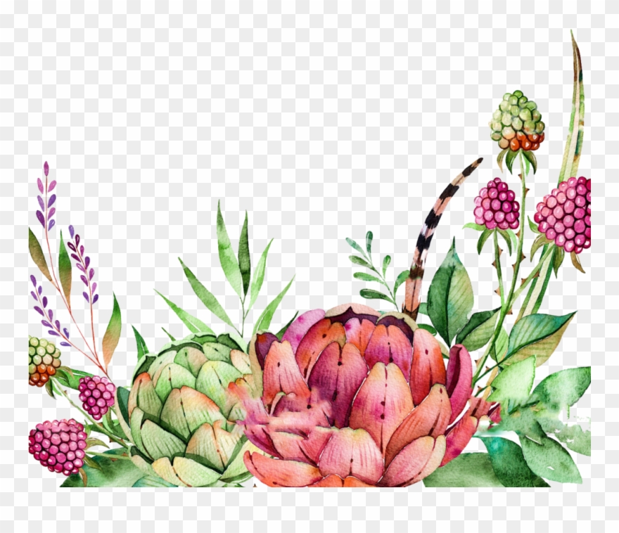 Free Watercolor Crane Pattern Png - Colorful Succulents Watercolor Border Clipart