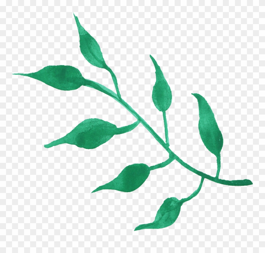 Watercolor Leaf Png - Free Green Leaf Watercolor Png Clipart