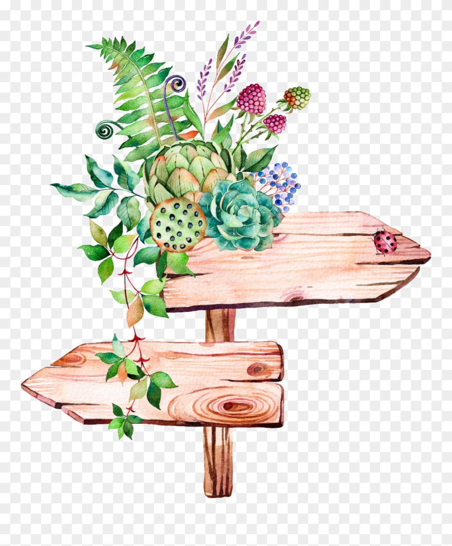 Leaves Leave Nature Watercolors Watercolor Watercolours - Watercolor Succulents Clipart Png Transparent Png