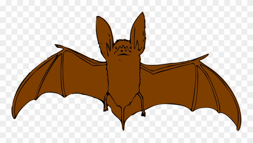 Animal Clipart Bat - Bat With Open Wings - Png Download