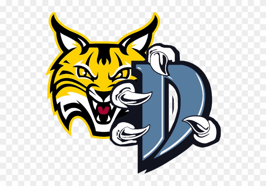 Clip Art Transparent Library Chester County Bobcats - Bobcats Quinnipiac University Logo - Png Download