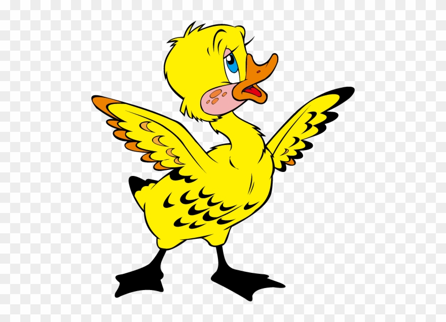 Duckling Drawing At Getdrawings Com Free For - Ugly Duckling Clip Art - Png Download